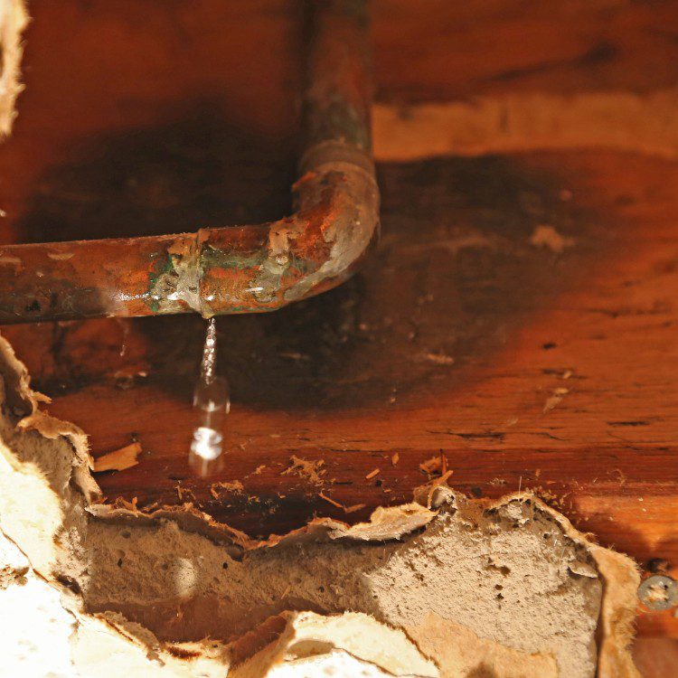 Plumbing services in Royse City, TX Plumbing services in Royse City, TX